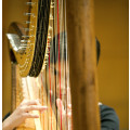 The Royal Conservatoire of Scotland Harp Summer School