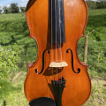 Fine Italian Violin by Alfredo Contino Circa 1947
