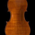 Violin by Paolo Fanfani fecit Cremona