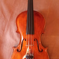 Violino Massimo Simonelli