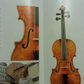 Violin by  Luigi Ercoli