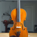 Marino Capicchioni Violin, 1962