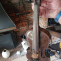 Late 19th Century German?