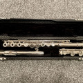 Altus 807RE Flute in Wiseman traditional-style case (£1600) & Raven Olive Wood High D Whistle (£150)