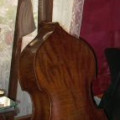 about 100 years old double bass stolen in Prague