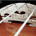 Viola by Jan Pawlikovsky (Krakow 2012) stolen in Seville during the past Christmas. 42 cm., ,