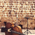 Stolen double bass in Rome