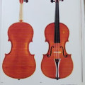 Luigi Mingazzi violin labeled: Ravenna, Fece anno 1912
