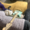 Stratocaster Fender surf green satin, , , 