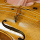 Thierry LIGIER, modèle AMATI, , , , 