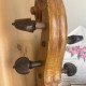 Old Saxon Cello -  Ficker School circa 1800, , , , , ,