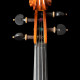 Violin by Paolo Fanfani fecit Cremona, , , , ,