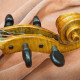Thierry LIGIER, modèle AMATI, , , , , 