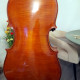 Violin Musicstore, Mainz Germany, 2018, , , ,