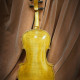 Thierry LIGIER, modèle AMATI, , 