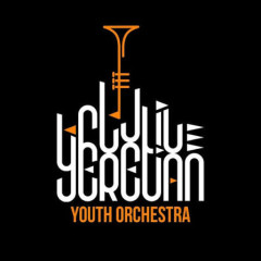Yerevan Youth Symphony Orchestra