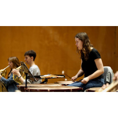 Interpretation for Orchestra Instrument/Piano/Organ 2 (BA level)