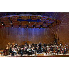 Interpretation for Orchestra Instrument/Piano/Organ 1 (MA level)
