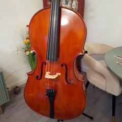 Violin Musicstore, Mainz Germany, 2018,