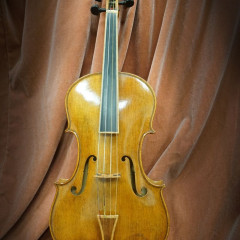 Thierry LIGIER, modèle AMATI, 