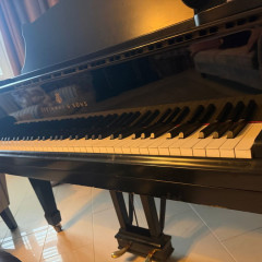 For Sale: Hamburg Steinway Model O Grand Piano (1986) - Ireland, 