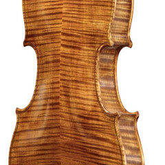 Violini dei Medici Handcrafted Student Violins, 