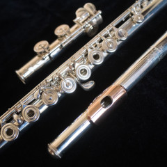 New Nagahara 950PT50 Flute,