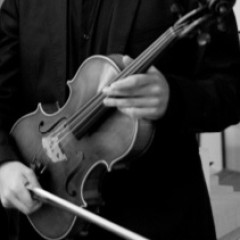 Viola by Jan Pawlikovsky (Krakow 2012) stolen in Seville during the past Christmas. 42 cm.,