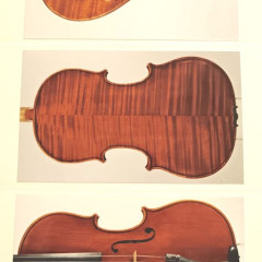 Viola made by Alessandro Tossani in Cremona (Italy),