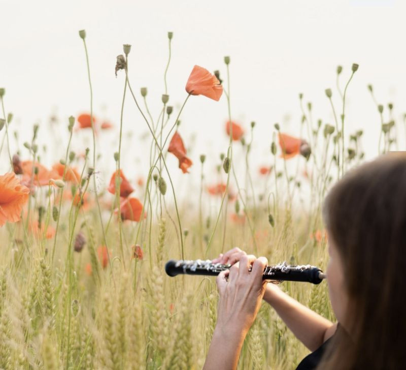 Course Oboe Course for Adult Learners